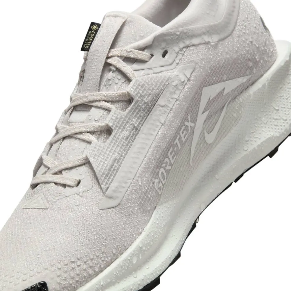 Pegasus Trail 5 GORE-TEX Running Shoes Mens