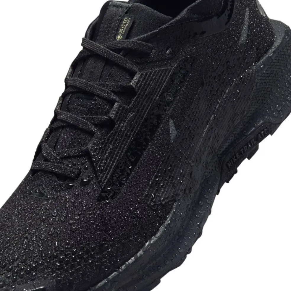 Pegasus Trail 5 GORE-TEX Running Shoes Mens