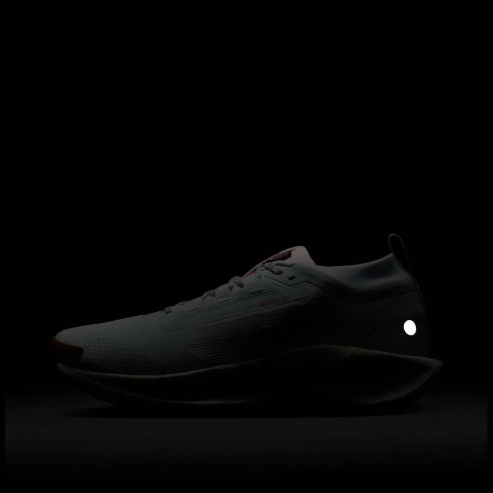 Pegasus Trail 5 GORE-TEX Running Shoes Mens