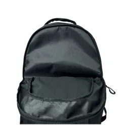 Platinum Backpack