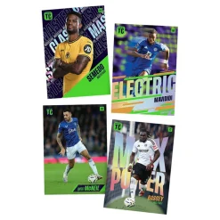 Premier League Top Class Starter Pack Card Game