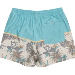 Quicksilver Reef Shorts