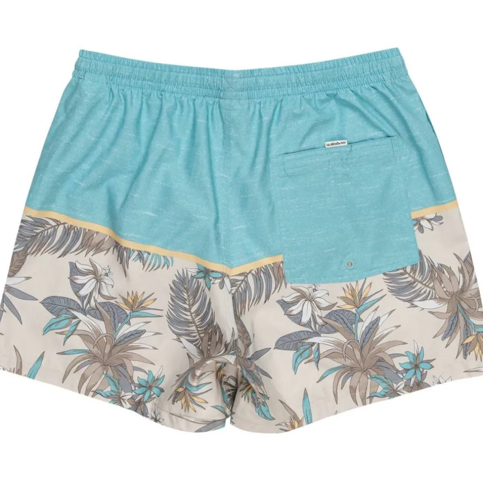 Quicksilver Reef Shorts