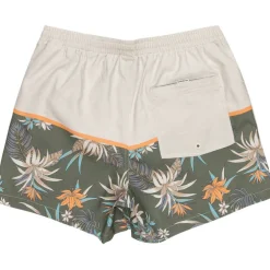 Quicksilver Reef Shorts