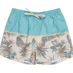 Quicksilver Reef Shorts