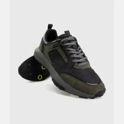 Rayado Trainers