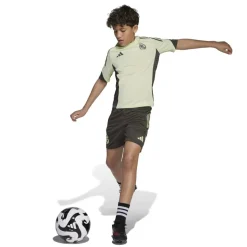 Real Madrid Tiro 25 Competition Training Shirt 2025 2026 Juniors