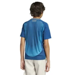 Replica Sweden Away Shirt 2025 Juniors