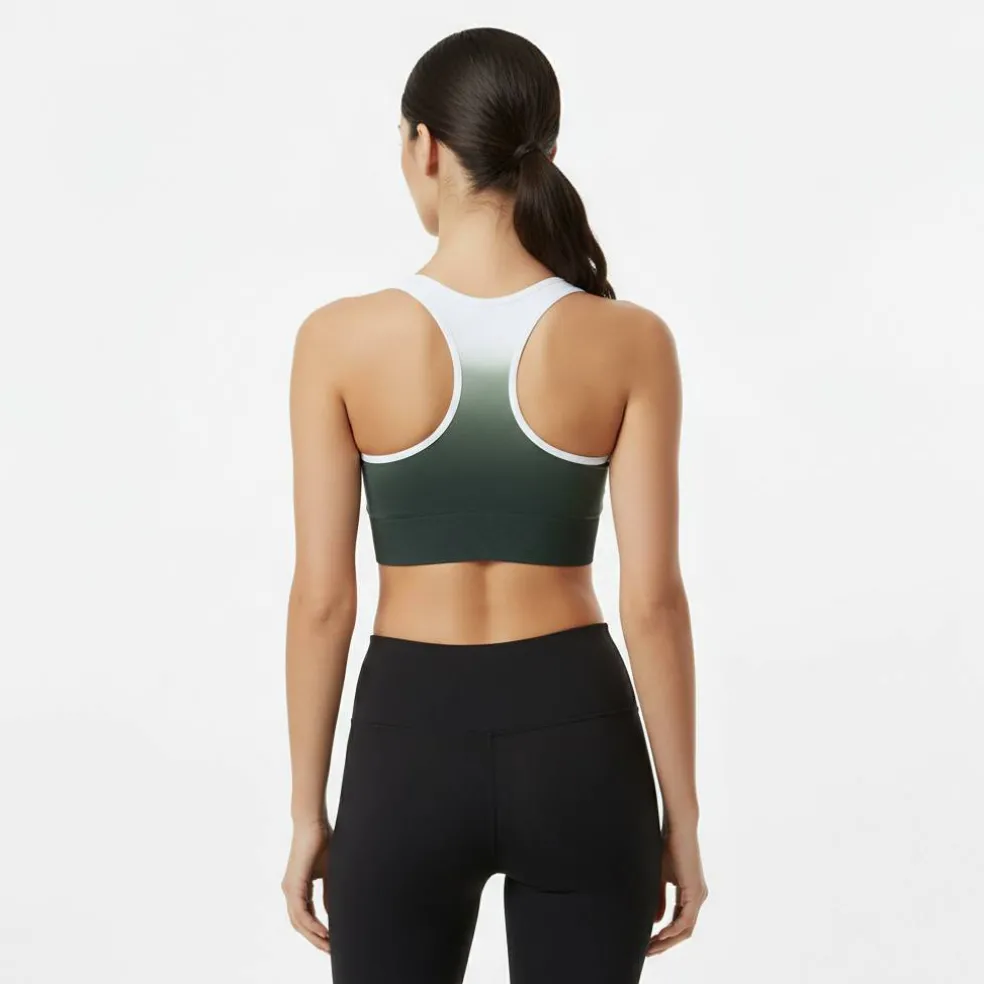 Seamless Ombre Sports Bra