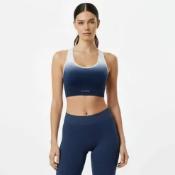 Seamless Ombre Sports Bra