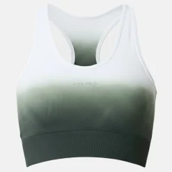 Seamless Ombre Sports Bra