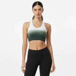 Seamless Ombre Sports Bra