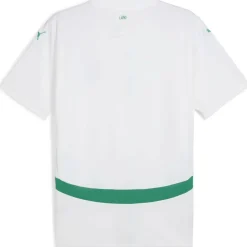 Senegal Home Shirt 2025 Adults