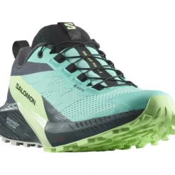 Sense Ride 5 GoreTex Women's Trail Running Shoes