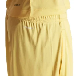 Sereno Training Shorts Mens