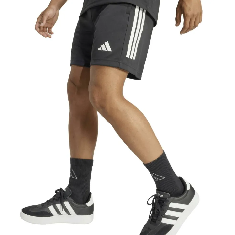 Sereno Training Shorts Mens