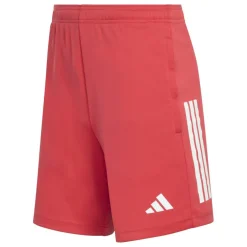 Sereno Training Shorts Mens