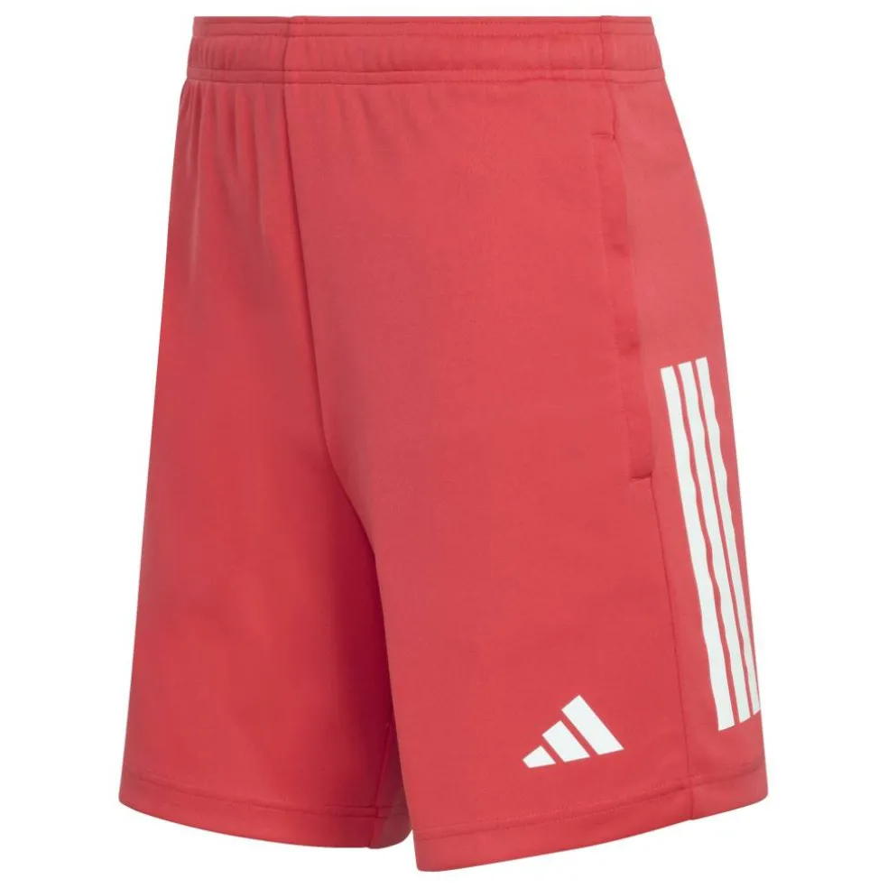 Sereno Training Shorts Mens