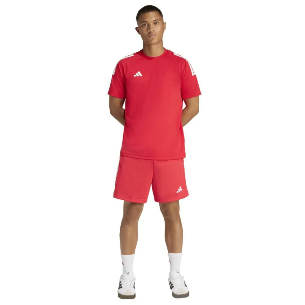 Sereno Training Shorts Mens