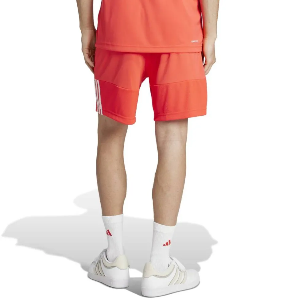 Sereno Training Shorts Mens