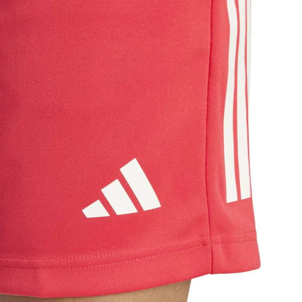 Sereno Training Shorts Mens