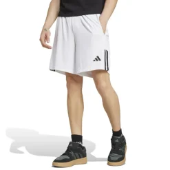 Sereno Training Shorts Mens