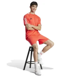 Sereno Training Shorts Mens