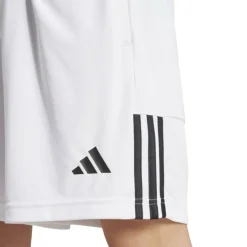 Sereno Training Shorts Mens