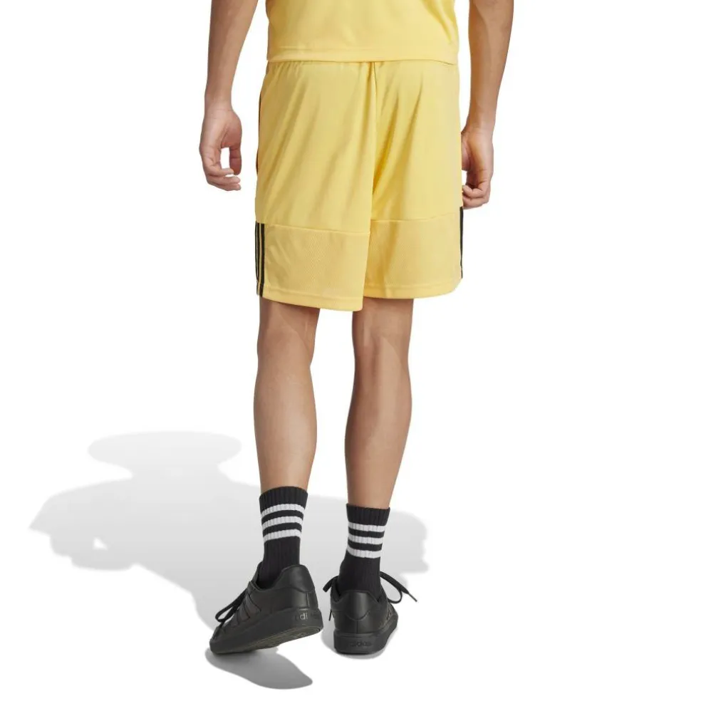 Sereno Training Shorts Mens