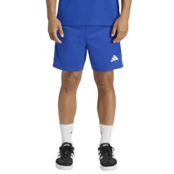 Sereno Training Shorts Mens