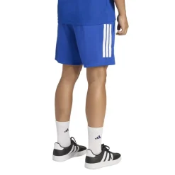 Sereno Training Shorts Mens
