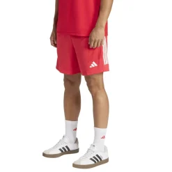 Sereno Training Shorts Mens