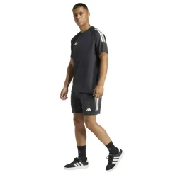 Sereno Training Shorts Mens