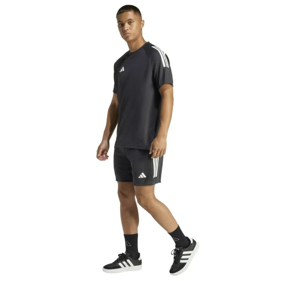 Sereno Training Shorts Mens