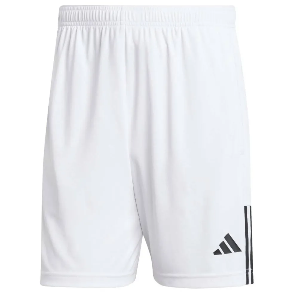 Sereno Training Shorts Mens