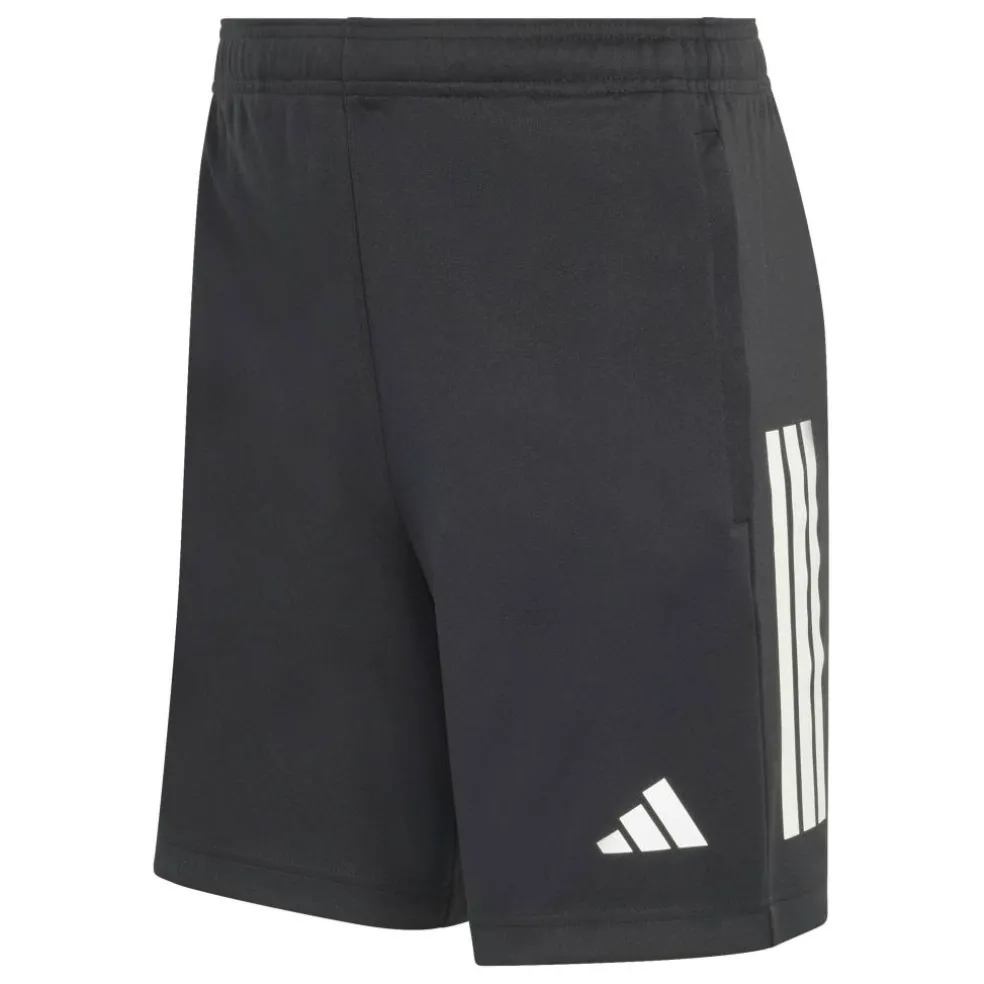 Sereno Training Shorts Mens