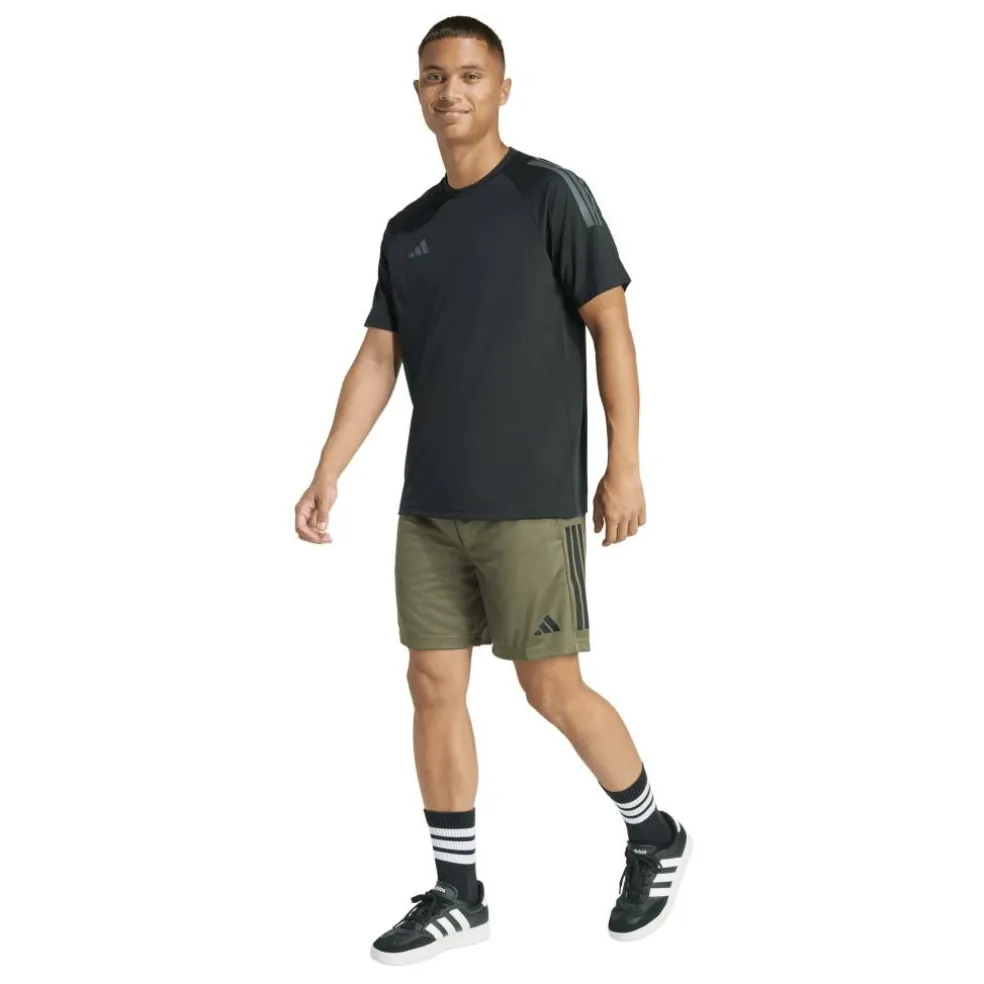 Sereno Training Shorts Mens