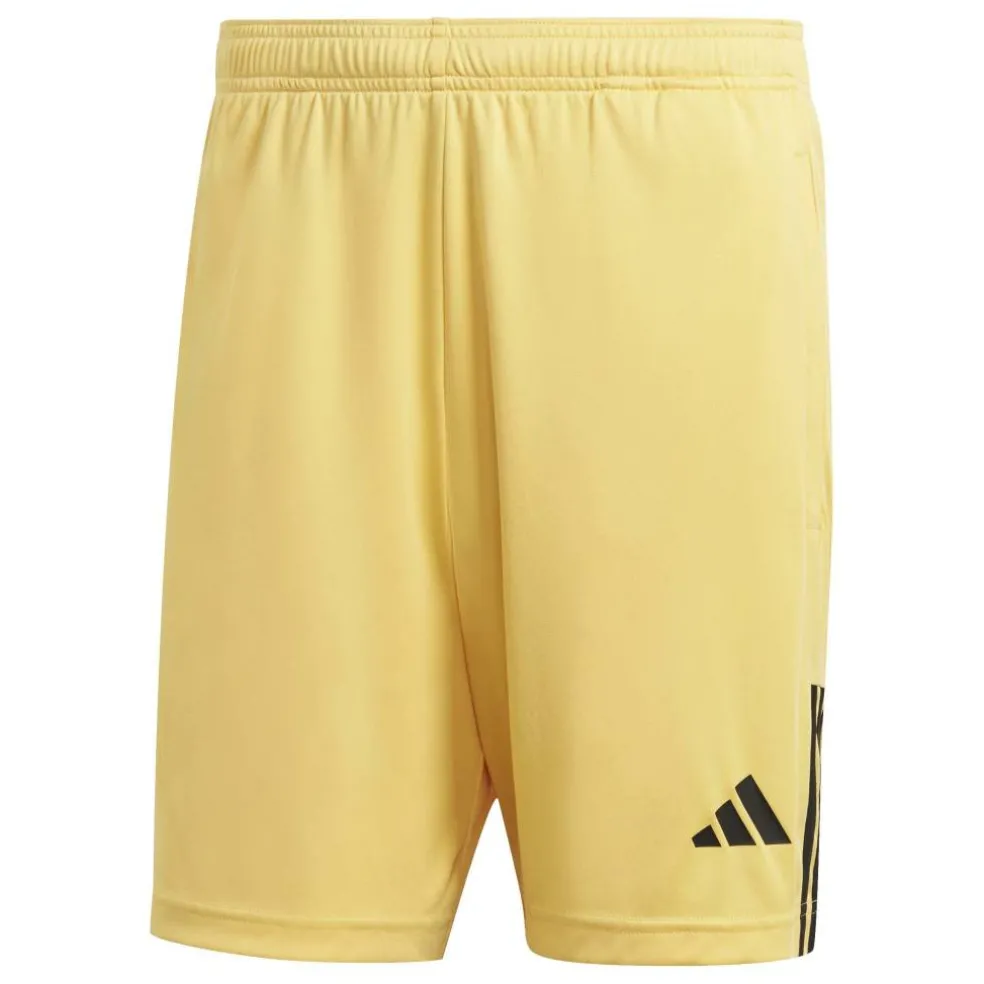 Sereno Training Shorts Mens