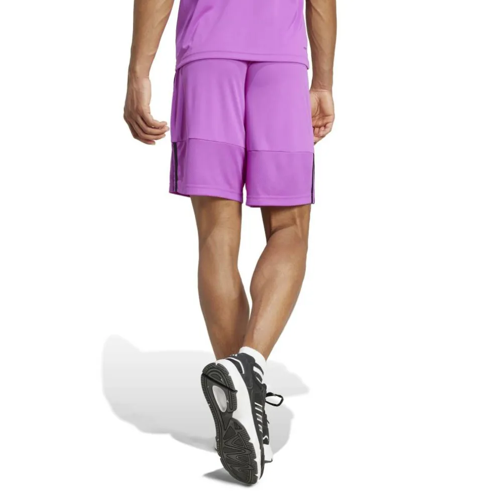 Sereno Training Shorts Mens