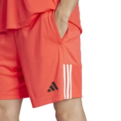 Sereno Training Shorts Mens