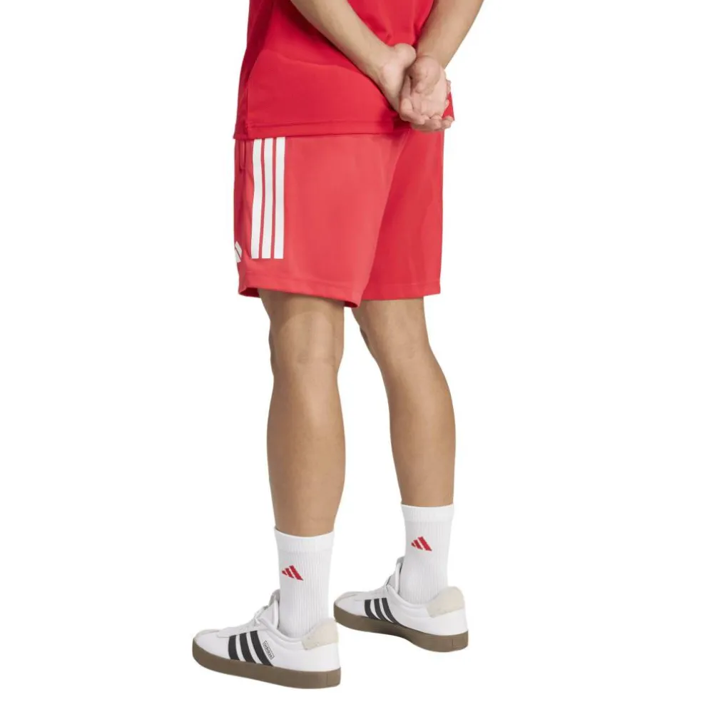 Sereno Training Shorts Mens