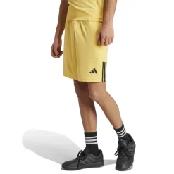 Sereno Training Shorts Mens