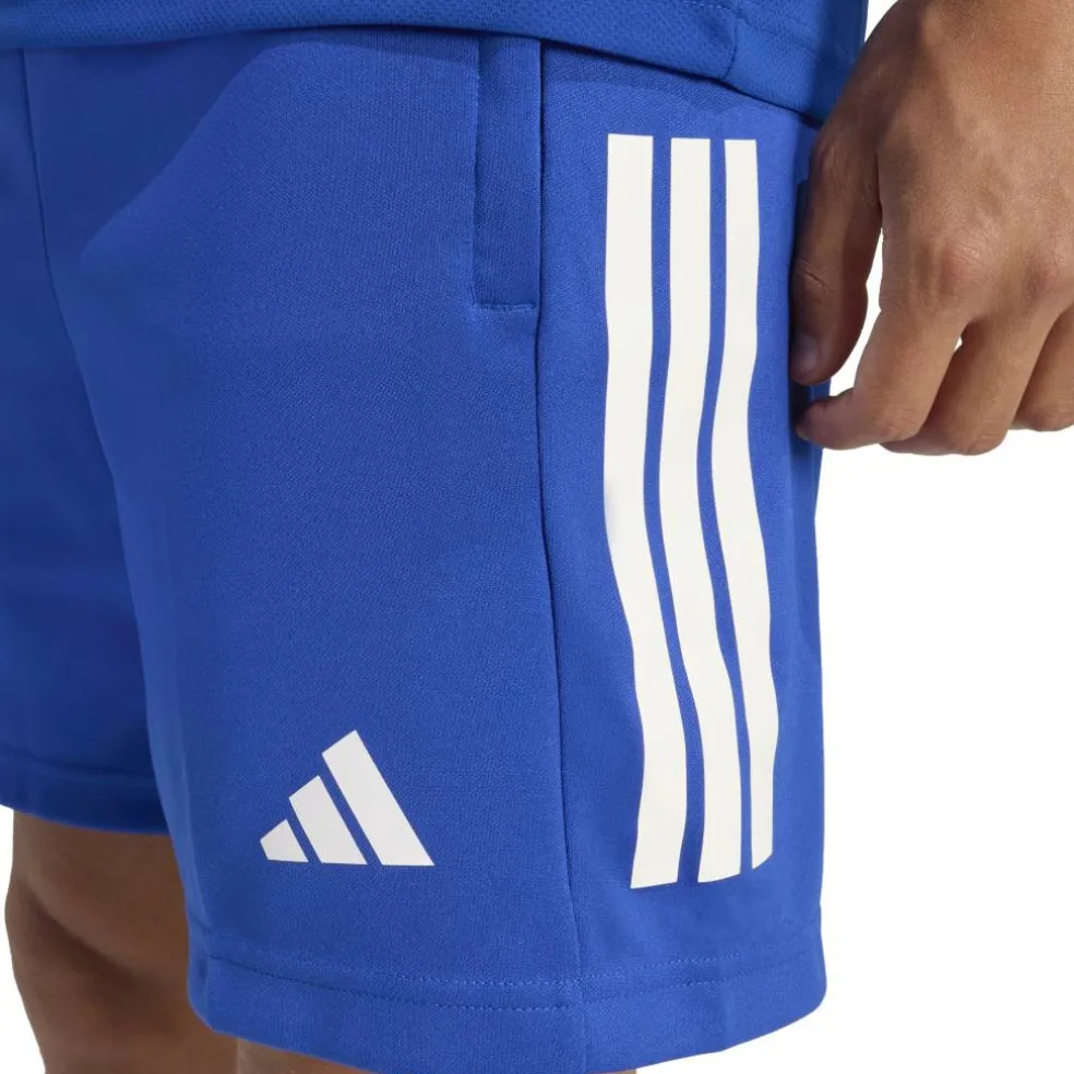 Sereno Training Shorts Mens