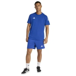Sereno Training Shorts Mens