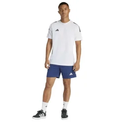 Sereno Training Shorts Mens