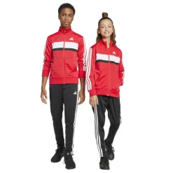 3s Essentials Tiberio Tracksuit