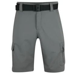 Silver Ridge Utility Walking Shorts Mens