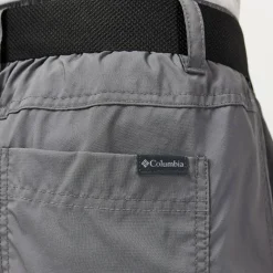 Silver Ridge Utility Walking Shorts Mens