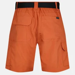 Silver Ridge Utility Walking Shorts Mens