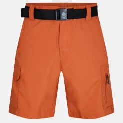 Silver Ridge Utility Walking Shorts Mens